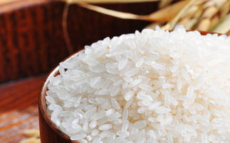 为啥天热大米容易 生虫子 有米虫的大米还能吃吗 专家这样说